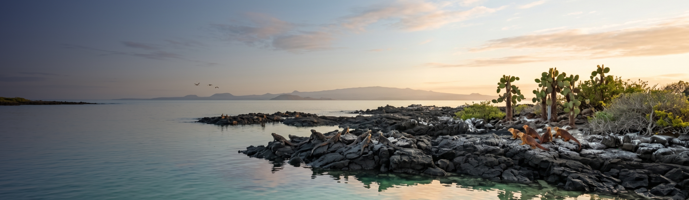 A photo of Baltra Galapagos.